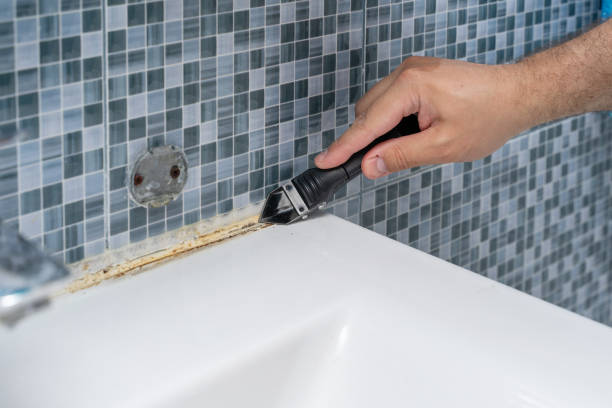 St Bernard, OH Mold Removal Company